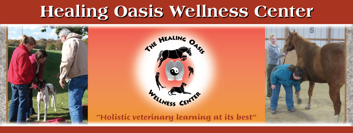 Healing Oasis Wellness Center Logo