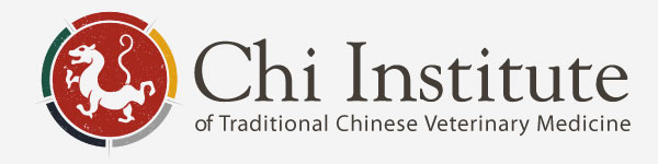 Chi Institute