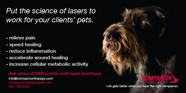 Companion Therapy Laser ad