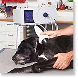 Extracorporeal Shockwave Therapy