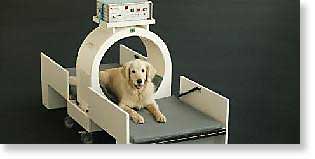 Pulsed Signal Therapy