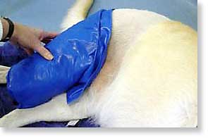 Thermotherapy