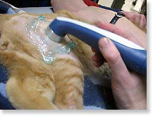 Therapeutic ultrasound in use