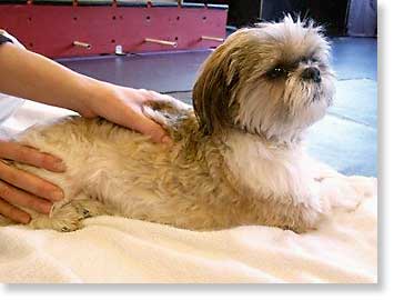 Therapeutic massage