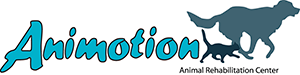 Animotion logo