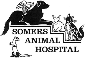 Somers Animal Hospital logo